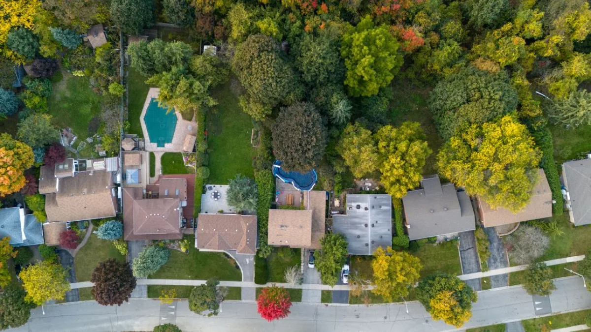 Greenwood'un Yeni Evi ve Komşuları Belirlendi